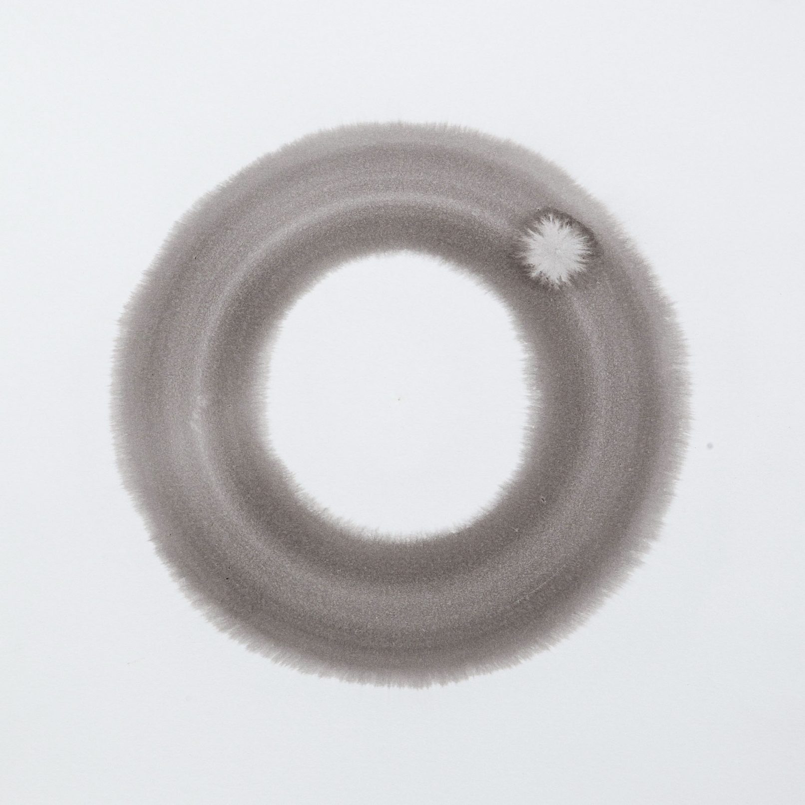 Ring Study Water color