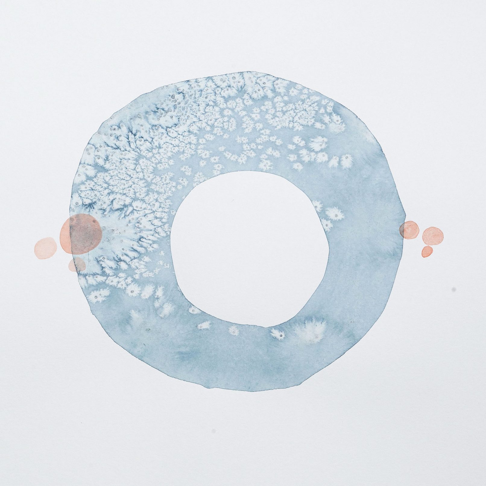 Ring Study Watercolour