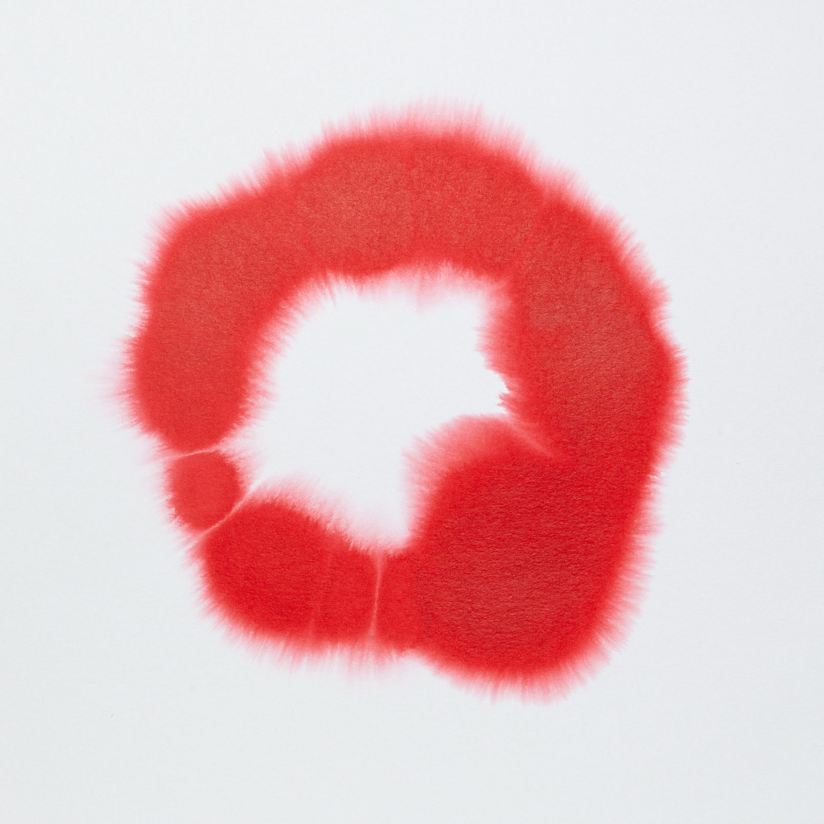 ring study watercolour