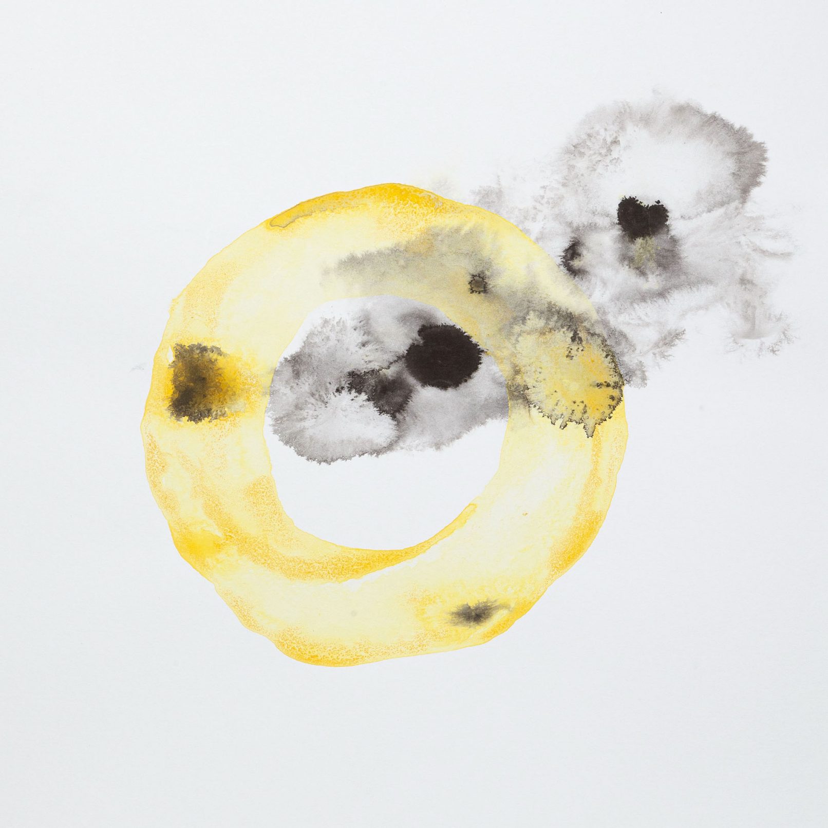 Watercolour Ring Study