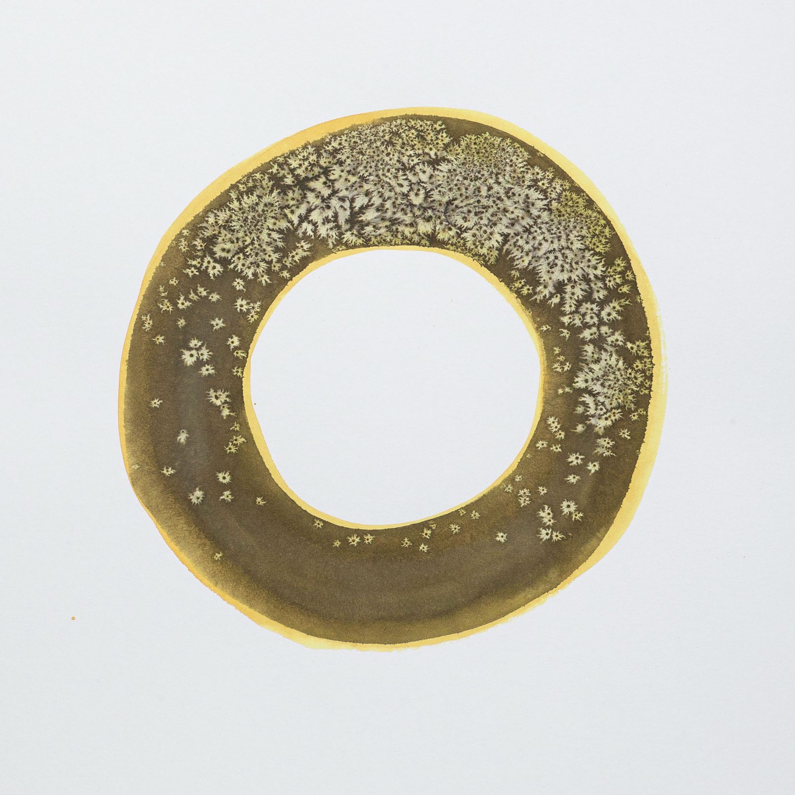 Ring Study Watercolour