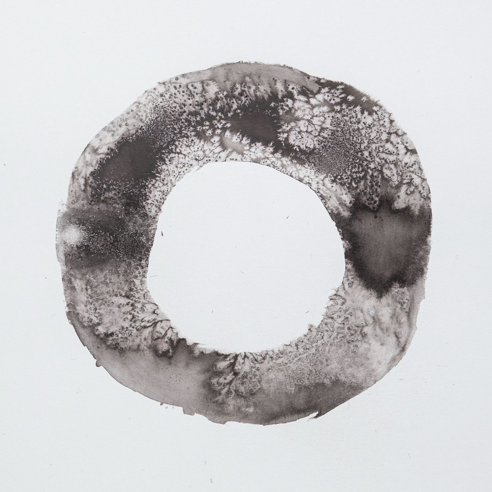 Ring study watercolour