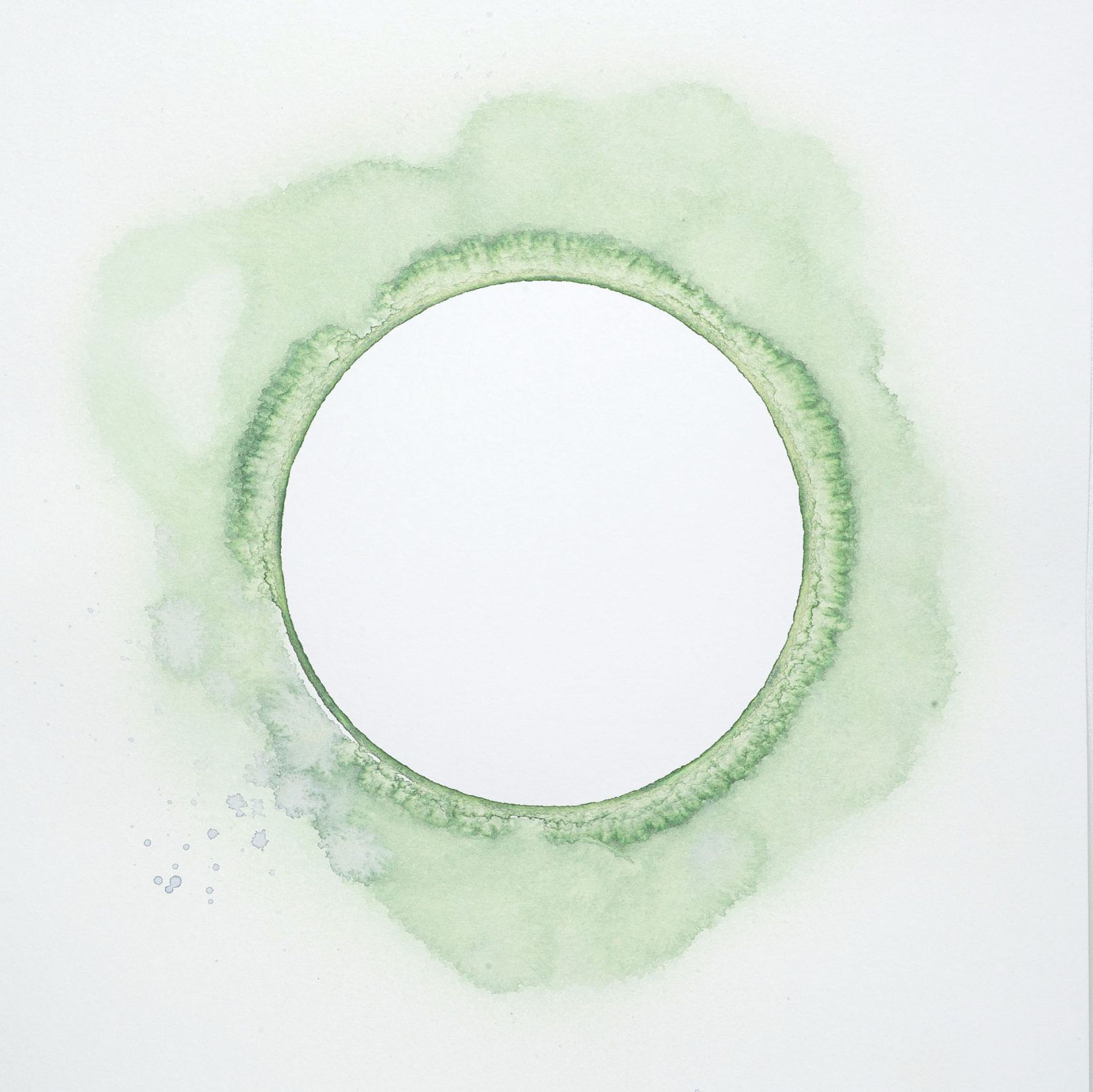 Watercolour Ring Study