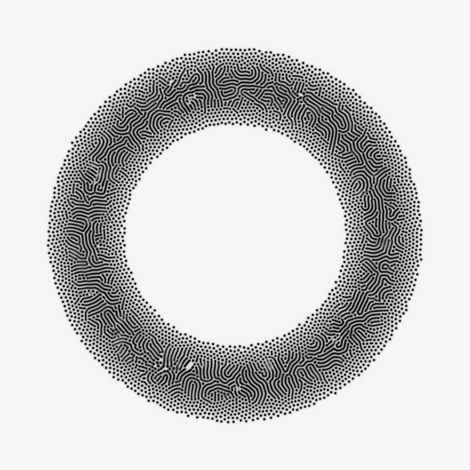 Generative Ring 08