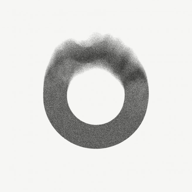 Dark Matter Ring Study