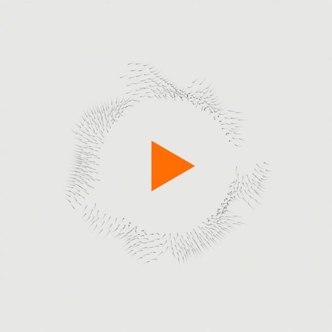 Flocking Study Animated